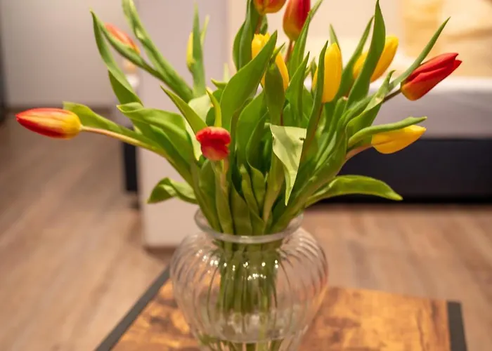 Charlotte Seebrise Φριντρισχάφεν